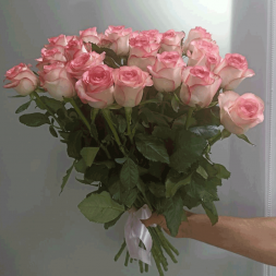 21 нежно-розовая роза, лента