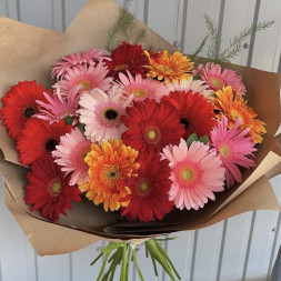 Букет Гербера микс
