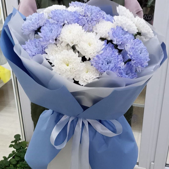 7 белых и голубых хризантем  в Судаке