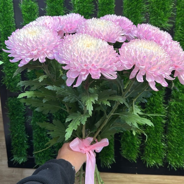 Лунный блик в Судаке