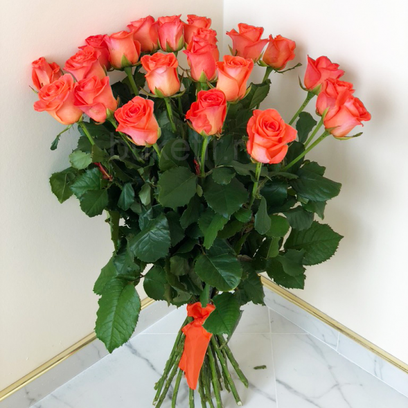 21 коралловая роза, лента в Судаке