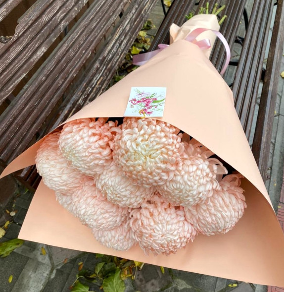 Снежная корона в Судаке