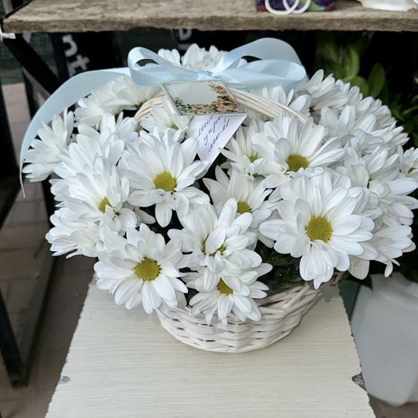Композиция  «Хризантемы в корзине» в Судаке