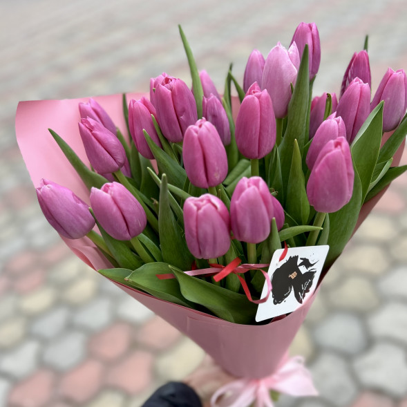 21 розовый тюльпан в Судаке