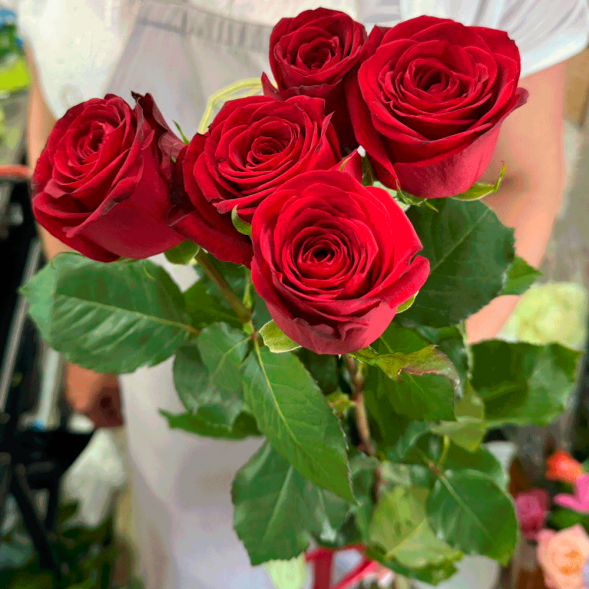 5 красных роз в Судаке