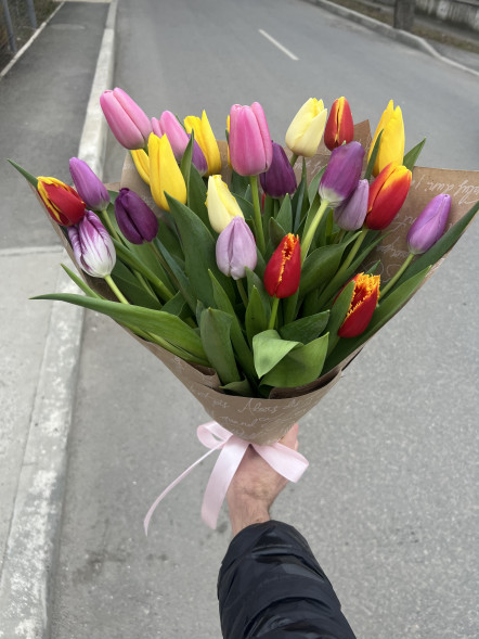 25 тюльпанов микс в упаковке в Судаке