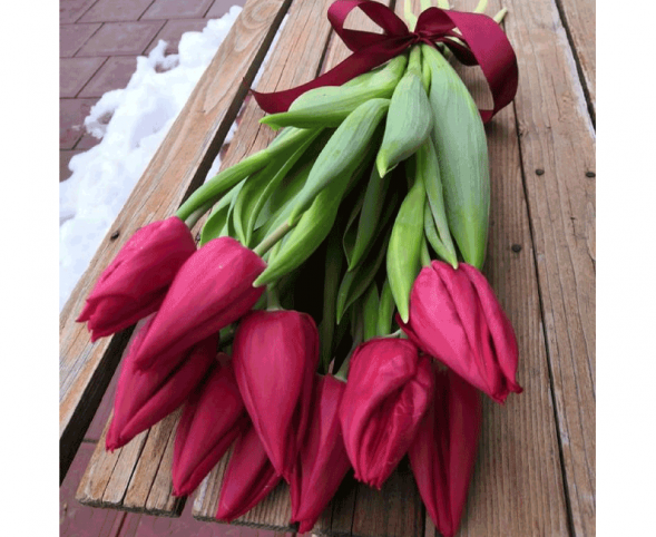 11 красных тюльпанов, лента в Судаке