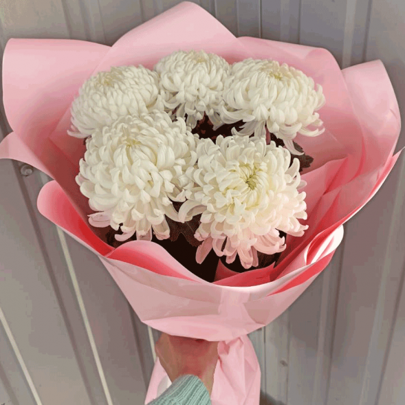 Букет 5 одноголовых хризантем в Судаке