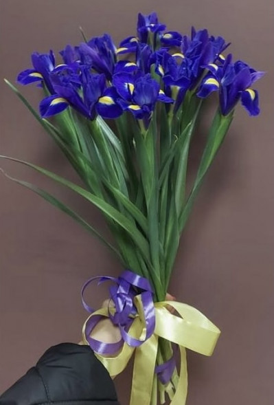 Букет 11 ирисов  в Судаке