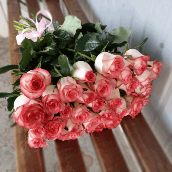 31 розовая роза в Судаке