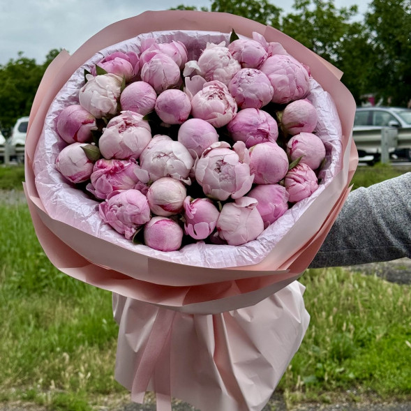 29 пионов &quot;Сара-Бернар&quot; в нежно-розовой упаковке в Судаке
