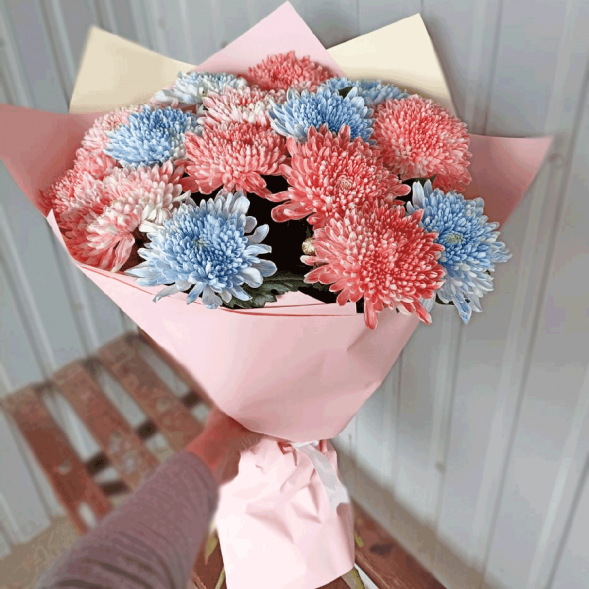 15 одноголовых хризантем микс в Судаке