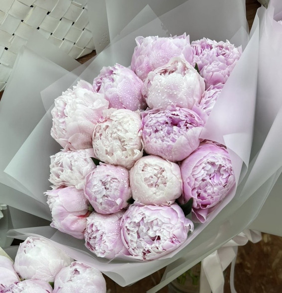 15 пионов Сара Бернар в Судаке